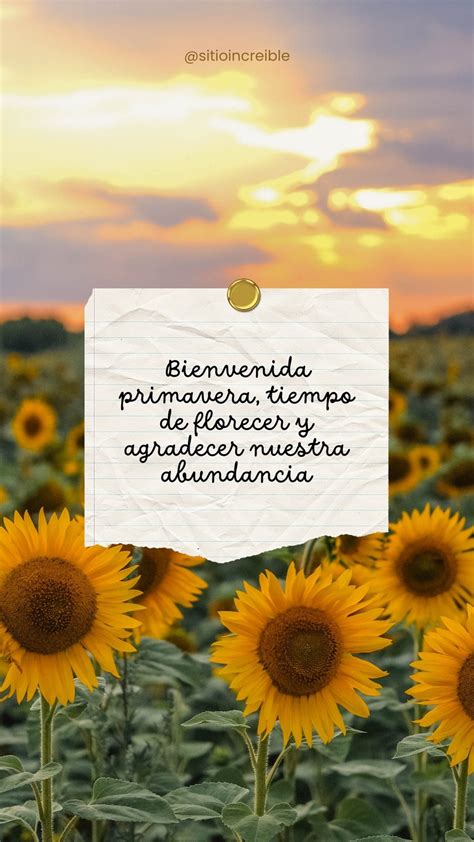 cita de girasol.